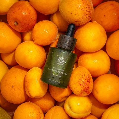 L'Arbre de paix Douceur d'Abricot signature oil in a dark green glass dropper bottle nestled among fresh apricots.