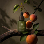 L'Arbre de paix Douceur d'Abricot signature oil in a frosted green glass bottle with a wooden dropper cap on a branch