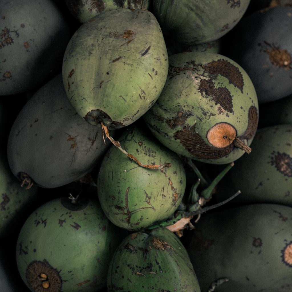 L'Arbre de paix Soleil de Mangue signature oil featuring fresh green coconut imagery for a tropical scent profile