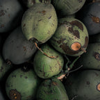 L'Arbre de paix Soleil de Mangue signature oil featuring fresh green coconut imagery for a tropical scent profile